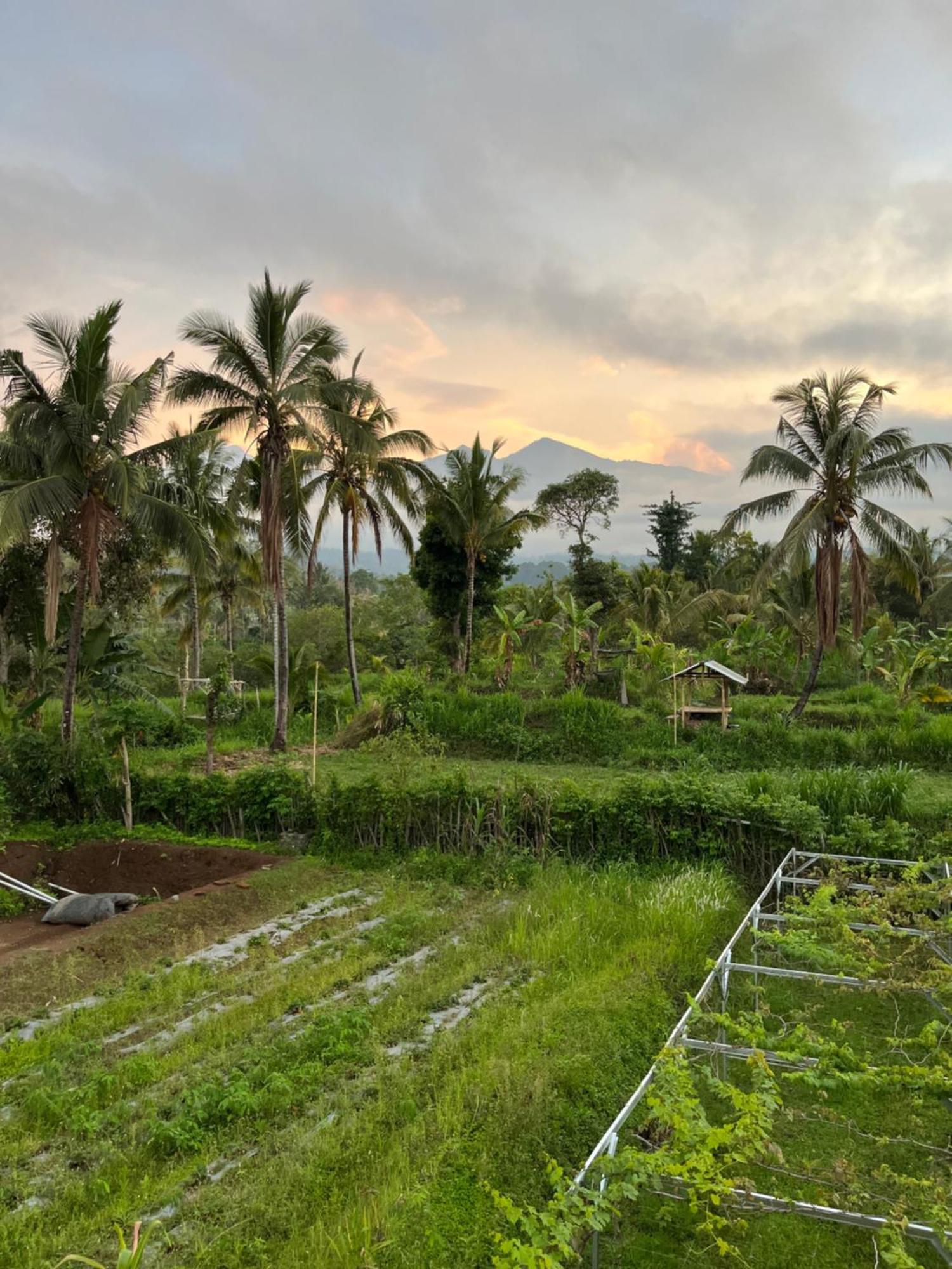 Rinjani Eco Villa Senaru Bayan 外观 照片