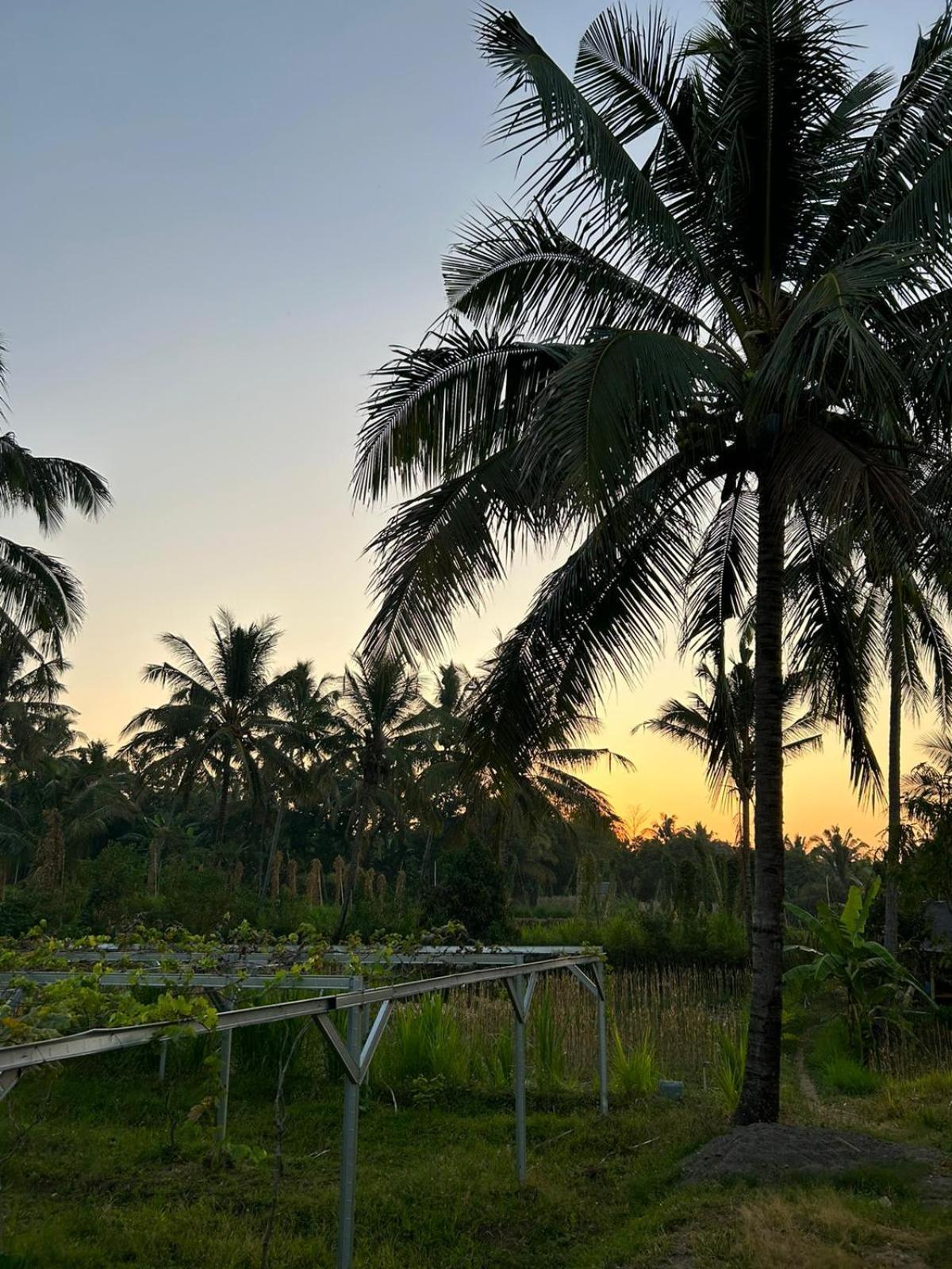 Rinjani Eco Villa Senaru Bayan 外观 照片