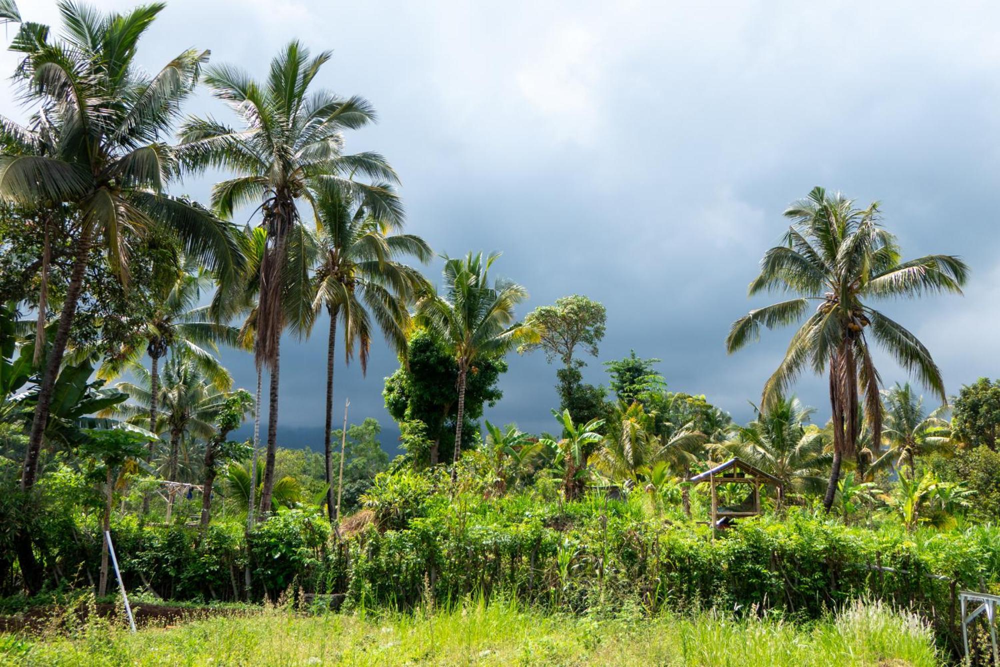 Rinjani Eco Villa Senaru Bayan 外观 照片
